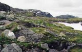 Hardangervidda