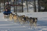 Jana Henychová řídí desetispřeží, veze se Karel