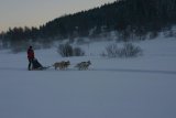 Společná vyjížďka na třech sáních se čtyřmi psi - Gábina