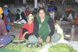 Amritsar - zde se připravují pokrmy do společné kuchyně. Poutníci zpravidla na chvilku vypomohou se společným dílem.