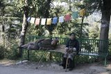 McLeod Ganj - tibetští staříci odpočívají po strmé cestě od chrámu ke chrámu.