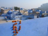 Jodhpur - modré město