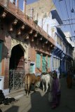 Jodhpur - zdobené domky v uličkách města