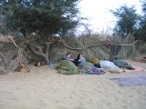 Velbloudi - ranní probuzení v poušti