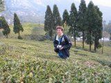 Darjeeling - Petr - mezi keříky se chodí velmi špatně