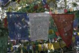 Darjeeling - budhistické modlitební praporky