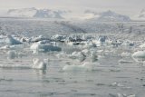 Jökulsárlón - ledovcové jezero