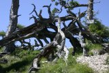 Am Südwestgrat, 970 m.n.m. - po 500 výškových metrech