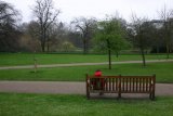 St. James's Park před Buckinhgham Palace