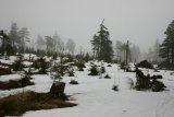 Klínovec - vrcholek pod sněhem a v mlze