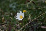 Feráta Donnerkogel - drsná příroda na Donnerkogelu