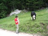 Výlet na Predigstuhl - Martin ukazuje Adélce krávu