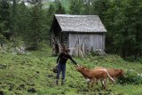 Feráta Seewand - Chata Hirschaualm, kousek pod nástupem na ferátu (Martin a krávy) 