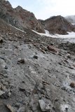 Ledovec vykukuje mezi kameny