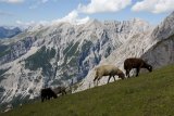 Hory Karwendel