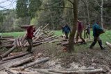 Řezání a skládání dřeva