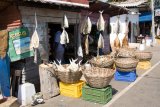 Trincomalee - obchod s rybami