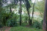 Kandy - zahrada Kandy River Breeze