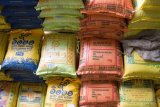 Kataragama - prodej rýže