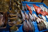 Mirissa - čerstvé ryby a plody moře k večeři