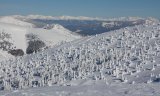 Vysoké Tatry