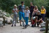 Aqua Zoo Leeuwarden - tučňák přes cestu