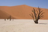 Sossusvlei - Deadvlei a Big Daddy