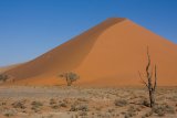 Sossusvlei - Dune 40